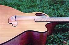 The low tension of the rubber strings of the acoustic Ashbory style bass make a flexible and lightly braced top a requirement