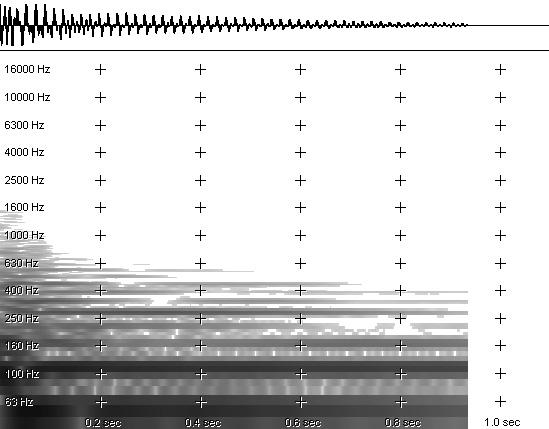 Figure 2- Spectrogram of upright bass (open A, 55Hz)