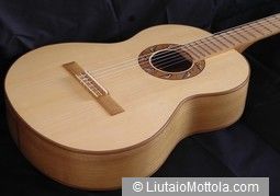 Cincia classical guitar made completely from domestic wood species