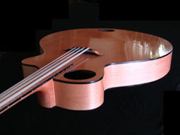 Elastico Acoustic Ashbory Style Bass